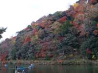 Điểm đến lý tưởng vào mùa thu tại Kyoto