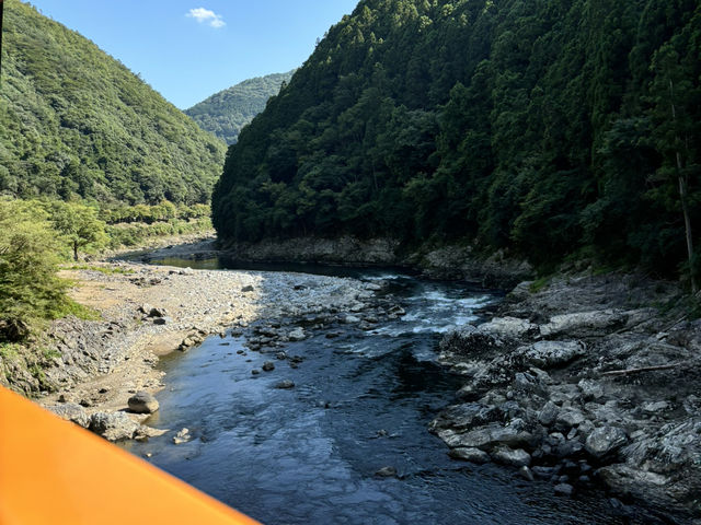 【京都：トロッコ列車】トロッコ列車で保津峡を渡る四季の風物詩🎐
