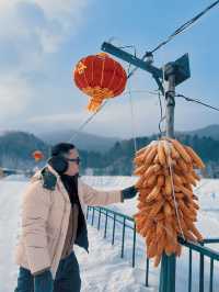  Cost SAVING‼️ 7D6N Winter ❄️ Itinerary to HARBIN 🇨🇳