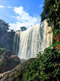 The Elephant Falls - Tranquility in the midst of Vitality 