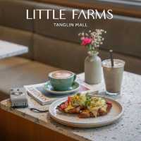 Little Farms Singapore