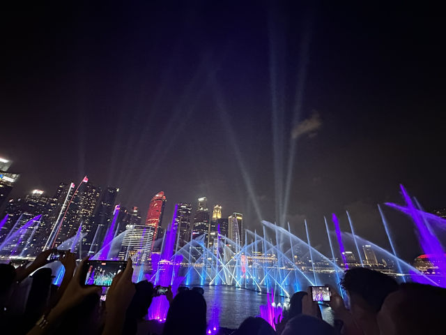 What an amazing experience Singapore has to offer!