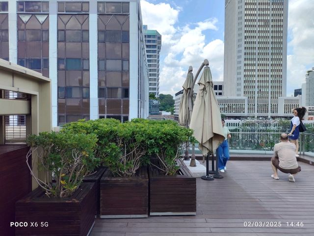Viewpoint From Garden