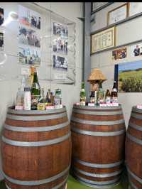 「奄美大島酒造 浜千鳥館｜黒糖焼酎の奥深さに触れる特別な時間」