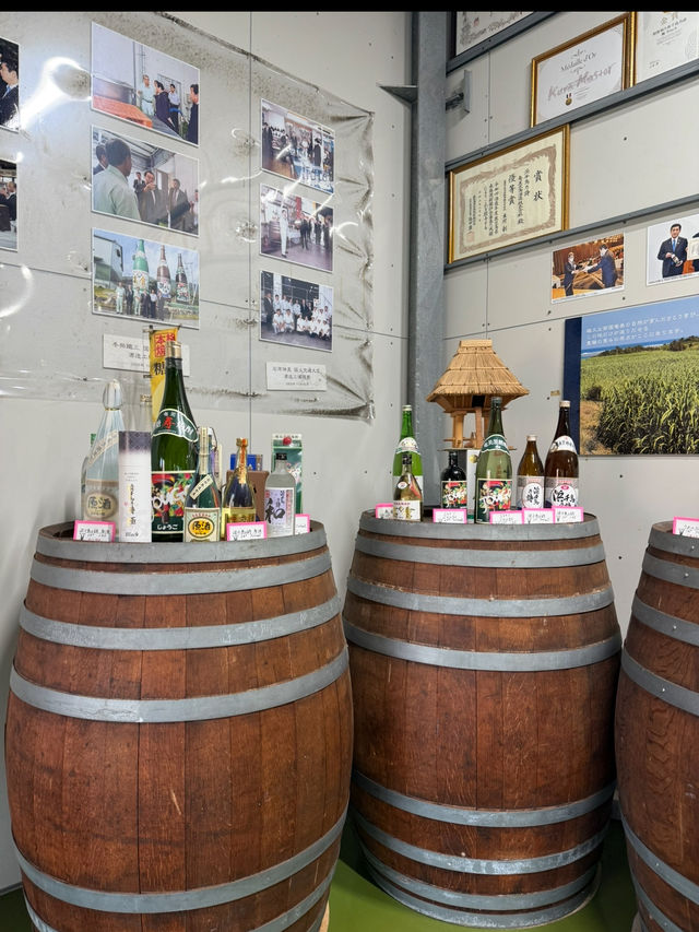 「奄美大島酒造 浜千鳥館｜黒糖焼酎の奥深さに触れる特別な時間」