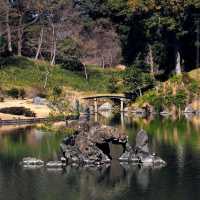 Rikugien Garden (六義園)