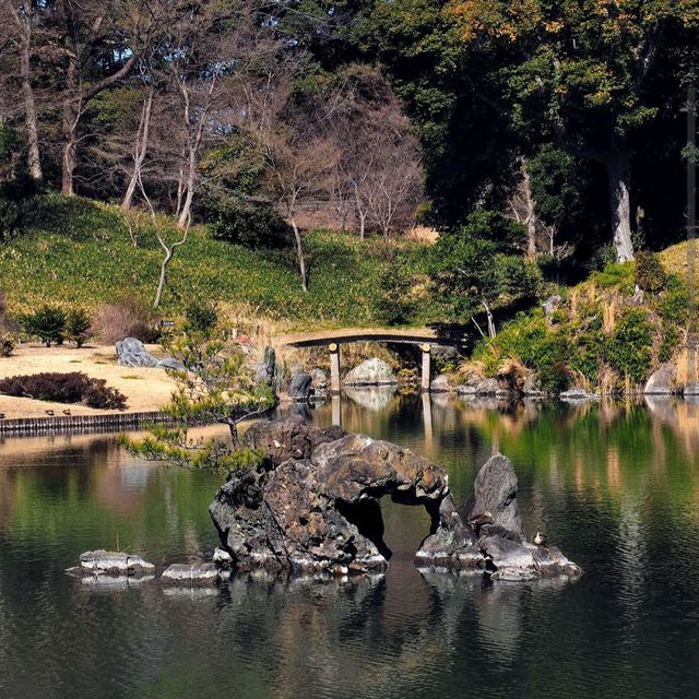 Rikugien Garden (六義園)