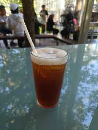Aesthetic Café Experience at The Glasshopper