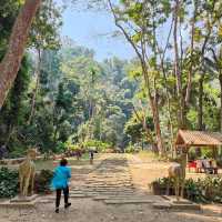 From Peaks to Pools: The Continued Kuang Si Adventure