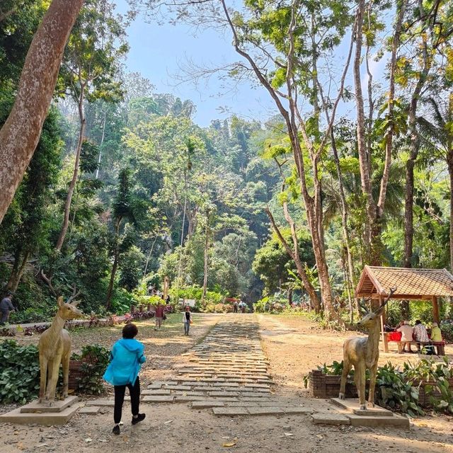 From Peaks to Pools: The Continued Kuang Si Adventure