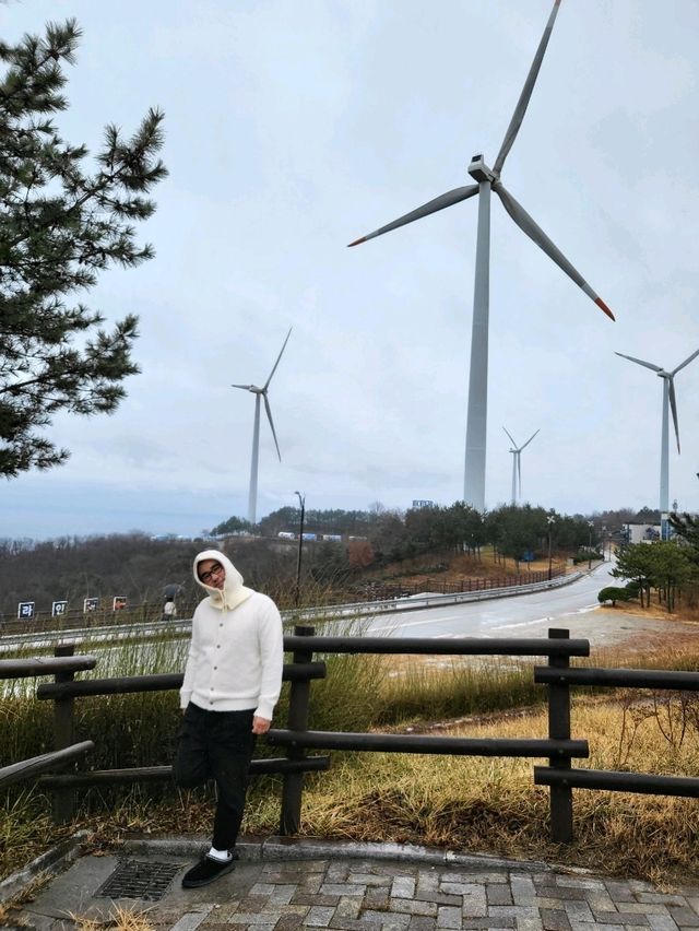 영덕 조각공원과 풍력발전기가 있는 곳