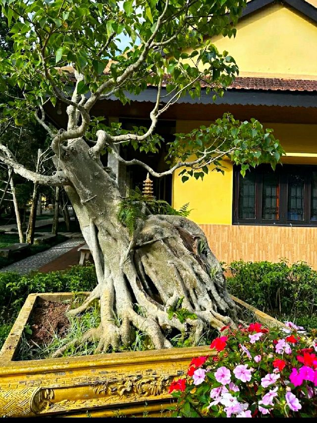 STUNNING BUDDHIST TEMPLE IN DALAT.