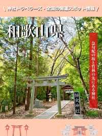 【和歌山県】急勾配の坂と竹林の先にある神社