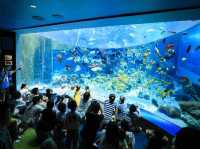 水中生物的邂逅～美麗海水族館