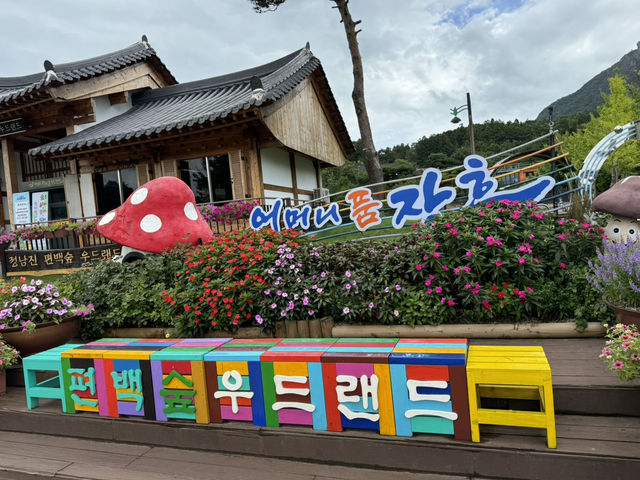 피톤치드가 가득한 산책길🌳