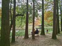 GongQing forest Park