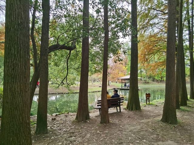GongQing forest Park