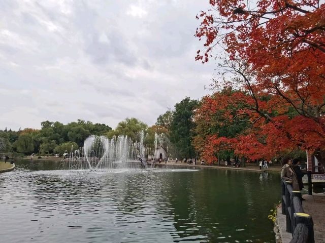 GongQing forest Park