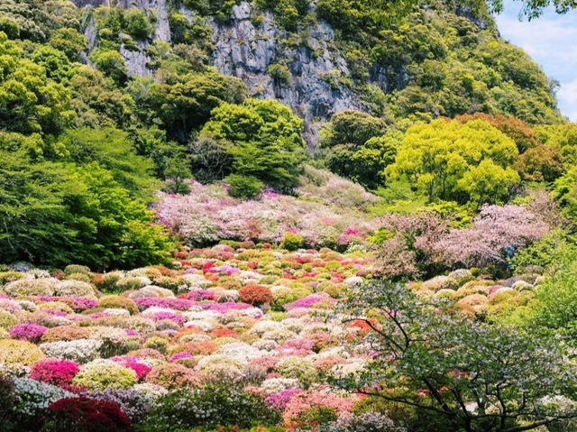 四季折々の絶景に感動✨御船山楽園で癒しのひととき