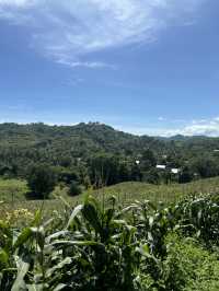 Why Driving Around Kuta Lombok Is the Best Way to Explore 🚗🌿