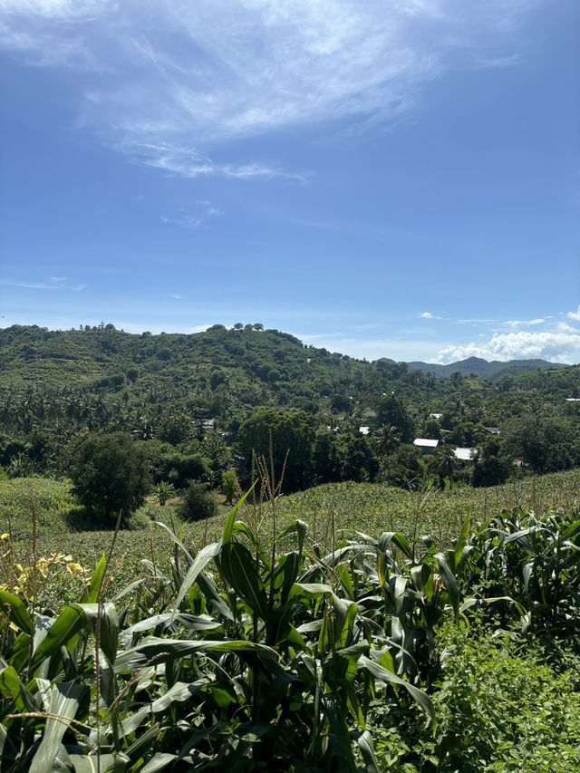 Why Driving Around Kuta Lombok Is the Best Way to Explore 🚗🌿