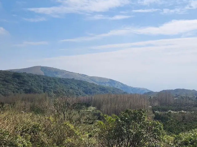 陽明山冷水坑✨寧靜優美的自然秘境 🌿🌊