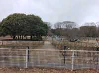 Kinuta Park (砧公園)