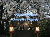 Chureito Pagoda จุดชมซากุระสุดปัง พร้อมวิวฟูจิ
