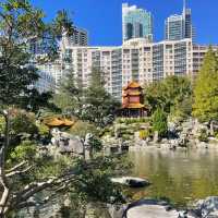A Peaceful Oasis in the City
