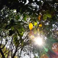 ～避開城市喧囂的隱藏地～惠安公園～