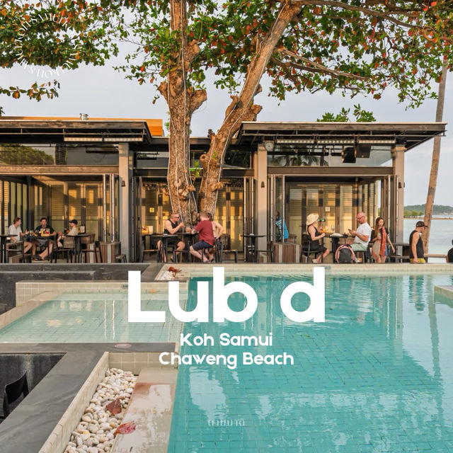 Lub d Koh Samui Chaweng Beach 🏖️