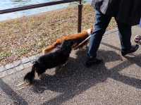 พาเดินเล่น Ueno Park กิจกรรมเพียบ!