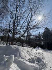 1 Day Trip ในเมืองซัปโปโรไปที่ไหนได้บ้าง❄️