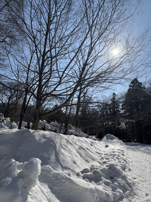 1 Day Trip ในเมืองซัปโปโรไปที่ไหนได้บ้าง❄️