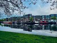 "Haarlem: The Hidden Gem of Dutch History and Culture"