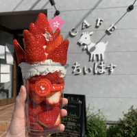 【豊後高田】🇯🇵 カフェちぃばす