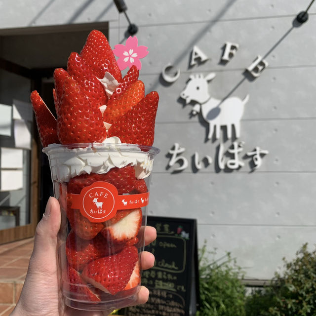 【豊後高田】🇯🇵 カフェちぃばす