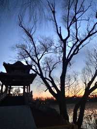 Frozen beauty at Summer Palace