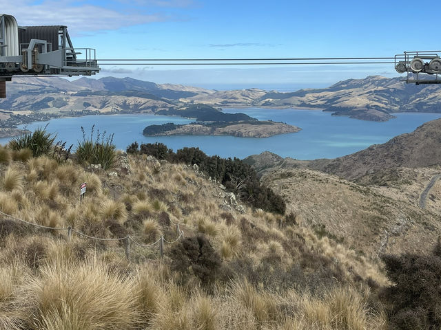 New Zealand 🇳🇿 