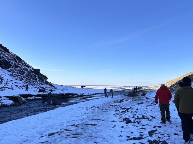 🇮🇸冰島Geysir間歇泉與可愛冰島馬之旅🐴✨