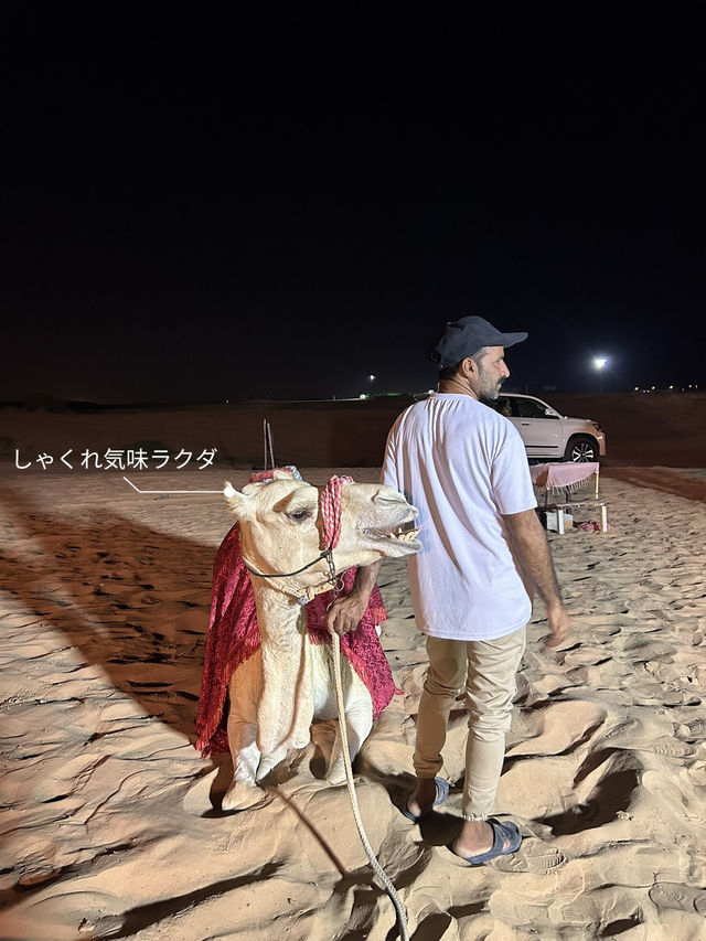 ドバイ🇦🇪の砂漠ツアー