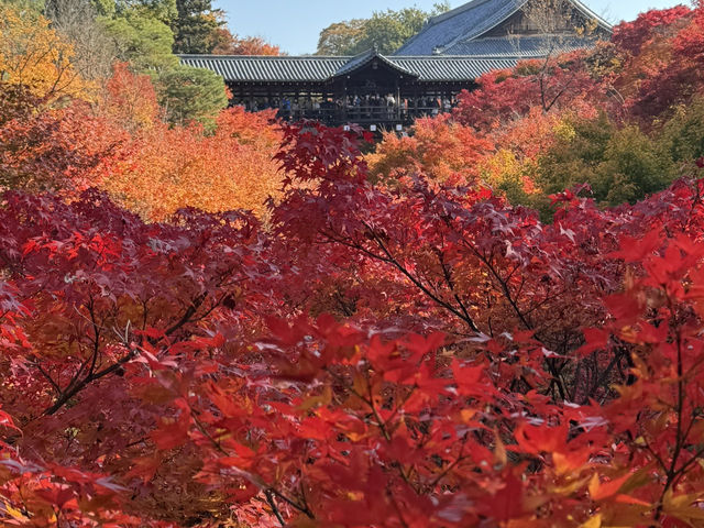 Tofuku-ji อีกวัดดูใบไม้แดงที่ไม่ควรพลาดที่ kyoto