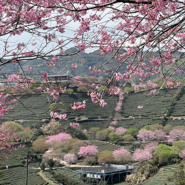 廈門龍巖超休閒體驗