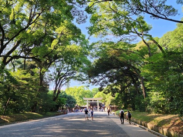 都心で感じる自然の癒し – 森林浴気分で訪れる明治神宮