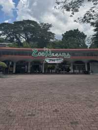 Zoo Negara: A Roaring Good Time in KL! 🦁🐼