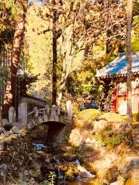 Spiritual Spring Rejuvenation in Jirisan 🧘‍♂️🌸 