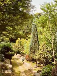 Spring's Photographic Journey 