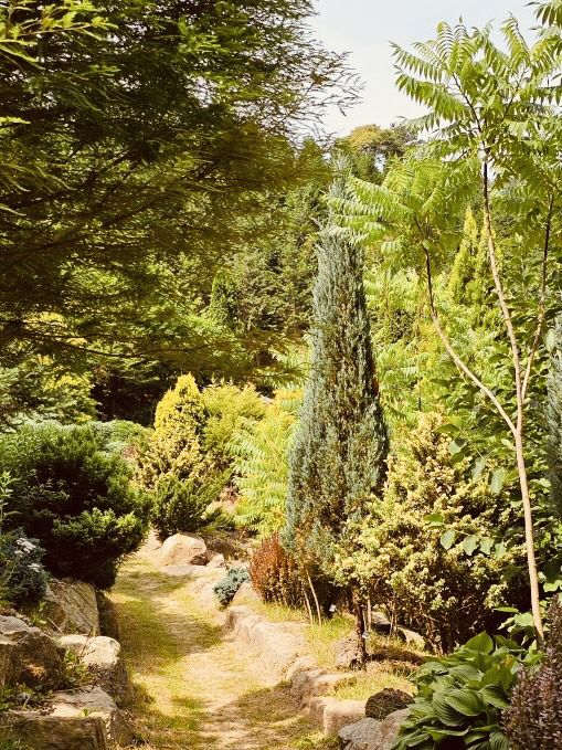 Spring's Photographic Journey 
