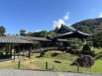 靜謐之美：探訪京都高台寺的歷史與風情