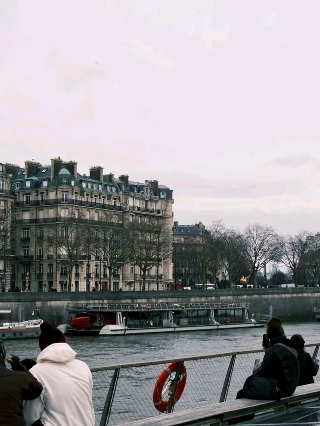The Serenade of the Seine: An Unforgettable Surprise